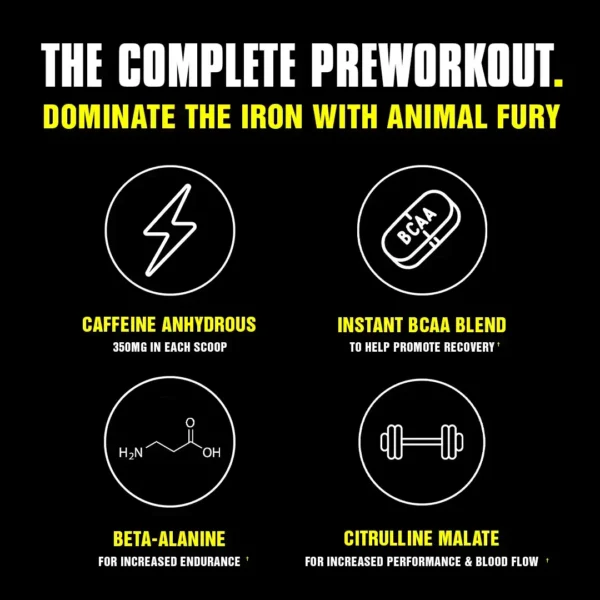Fury (Pre-Workout) Powder - Image 2