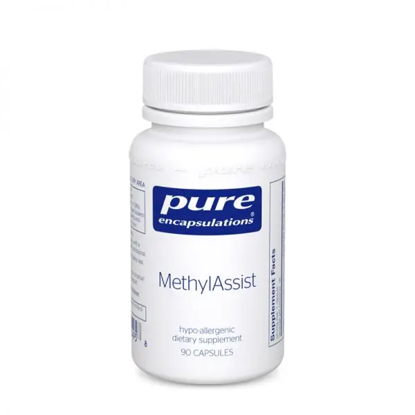 MethylAssist